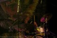 /album/biesenrock-2014/img-0141-jpg/