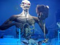 /album/iron-maiden-copenhell-2014/sam-1247-jpg/