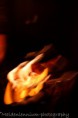 /album/artistic-photos/mg-0175-jpg/