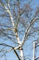 /album/klundert-winter-2014/mg-0008-jpg/