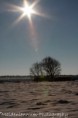 /album/klundert-winter-2014/mg-0022-jpg3/