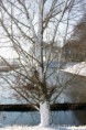 /album/klundert-winter-2014/mg-0049-jpg3/