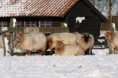 /album/klundert-winter-2014/mg-0053-jpg1/