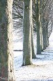 /album/klundert-winter-2014/mg-0060-jpg2/
