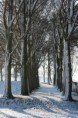 /album/klundert-winter-2014/mg-0061-jpg2/