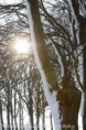 /album/klundert-winter-2014/mg-0062-jpg4/