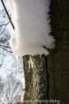 /album/klundert-winter-2014/mg-0066-jpg2/